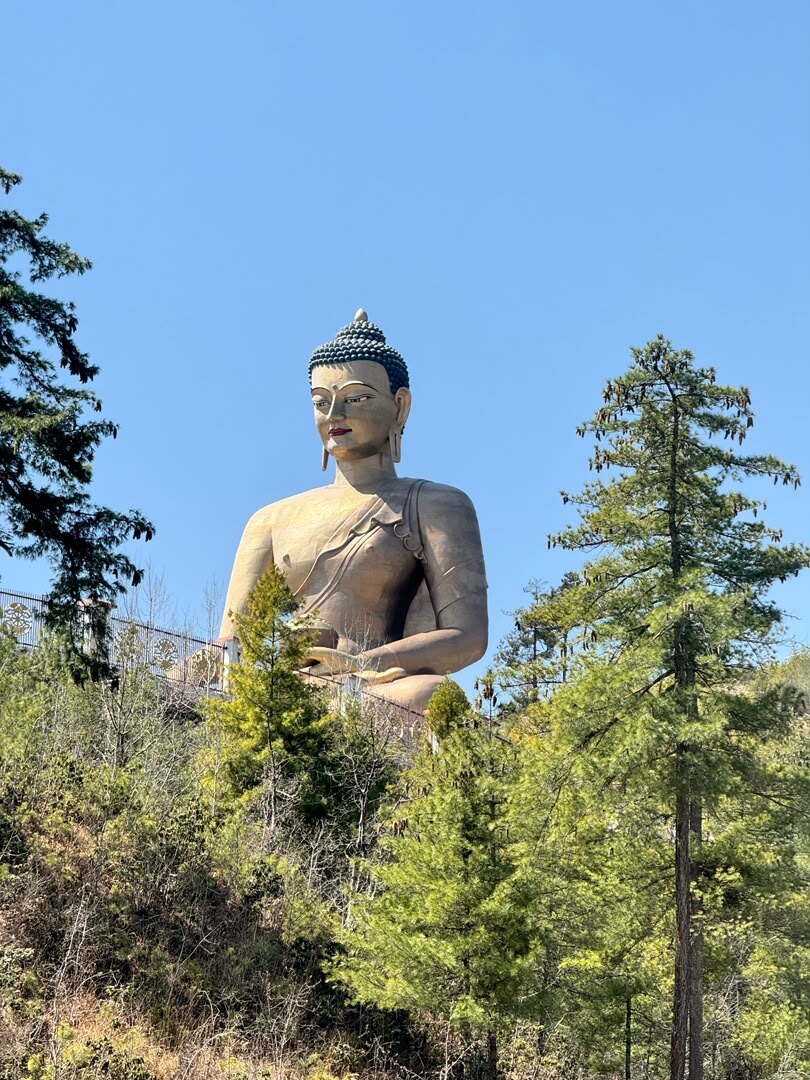 Alpine meadows in the Haa valley, Bhutan