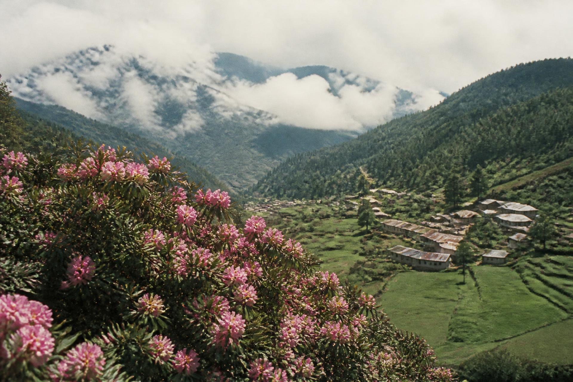 The Best Time to Visit Bhutan