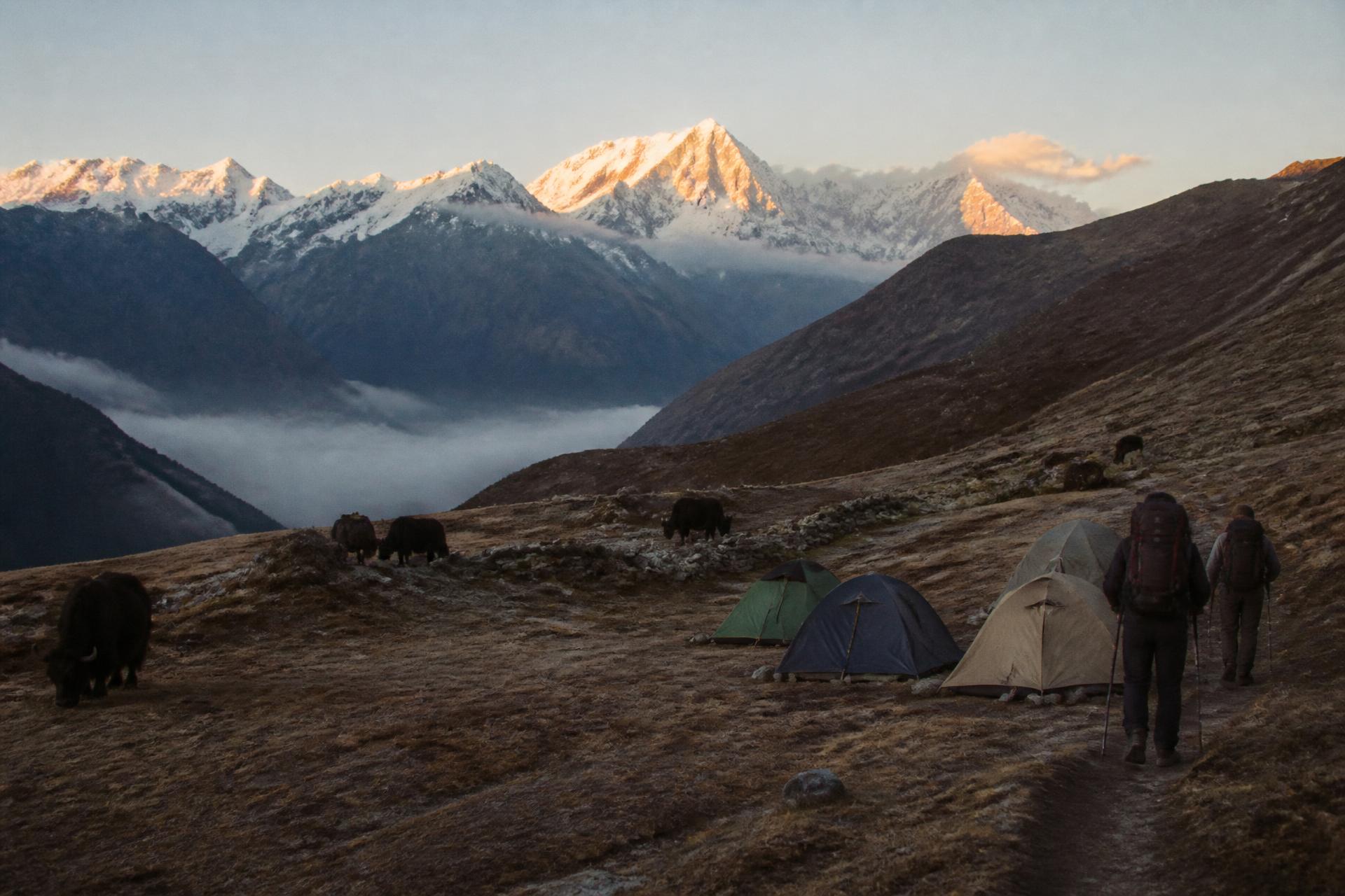 Trekking Adventures in Bhutan
